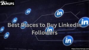 Best Places to Buy LinkedIn Followers