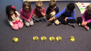 Creating Bee-Safe Zones Around Kids’ Play Areas