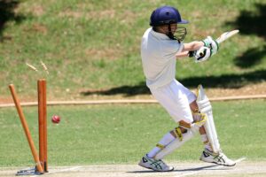 download Wheon Cricket 07