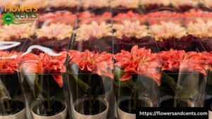 Bring Nature Indoors