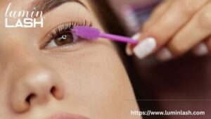 Lash Extensions Sugar Land