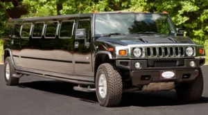 Limousine Service in Edison
