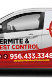 termite pest control