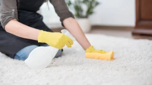 Professional carpet cleaning service in Kāpiti Coast home removing deep stains and dirt