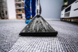 carpet cleaning Ashburn