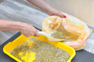 pet urine removal in Fairfax