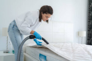 upholstery cleaning service fairfax