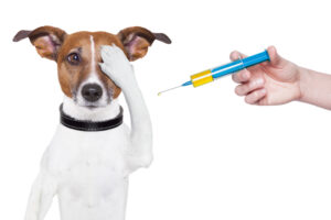 dog food hypoallergenic