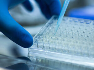 endotoxin testing services