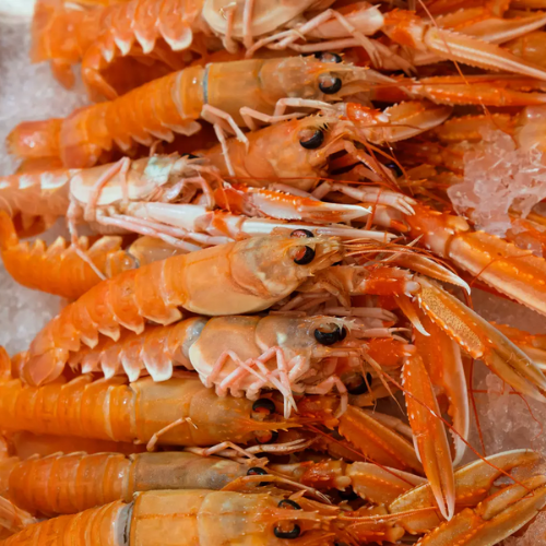 wholesale salmon suppliers