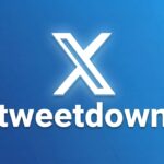 Download Twitter Videos Online