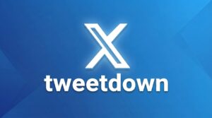 Download Twitter Videos Online