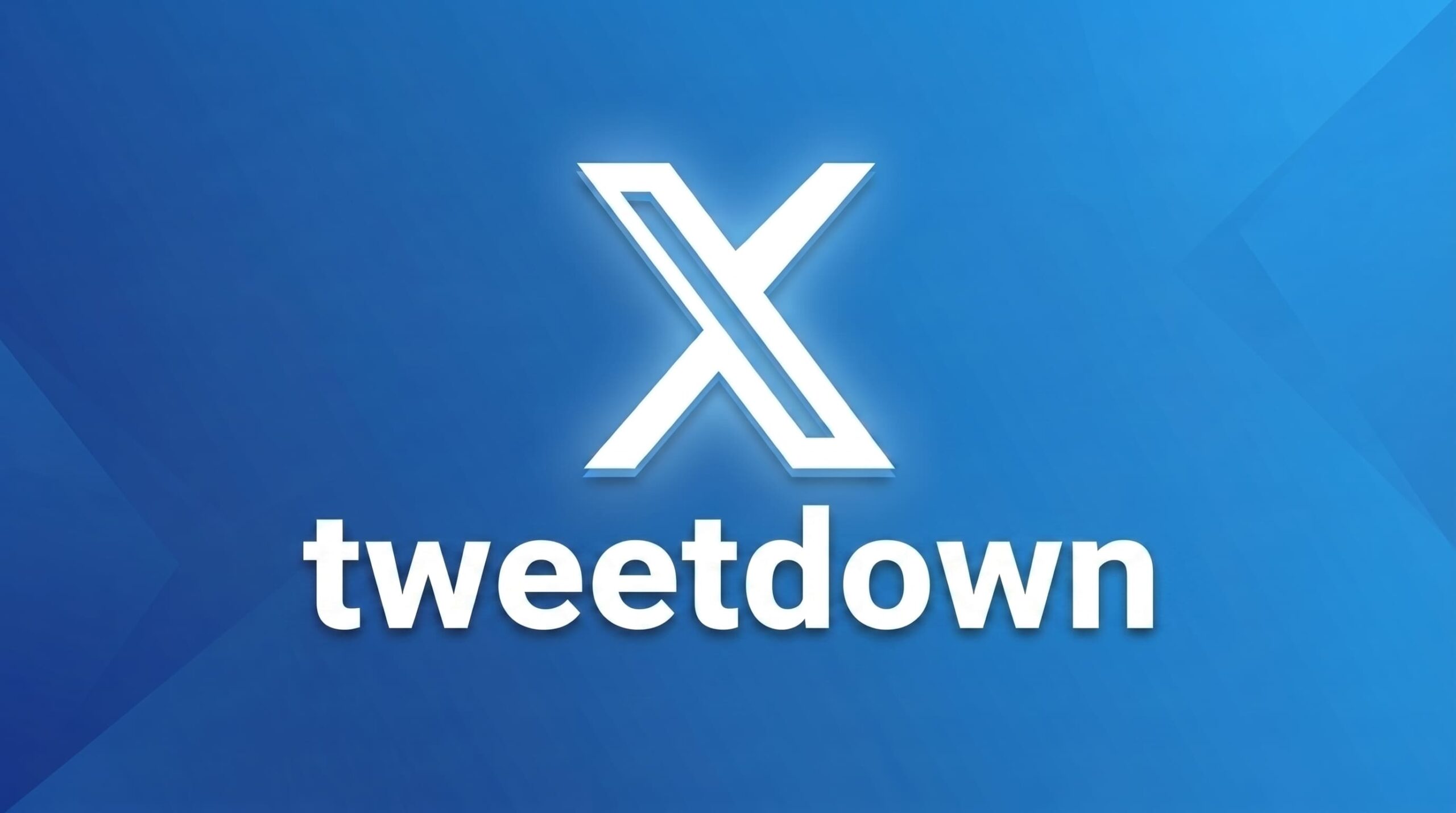Download Twitter Videos Online