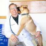 Doctor Pet Hospital, Pusat Perawatan Veteriner dengan Layanan Pemeriksaan dan Diagnostik Lengkap dhumph-1-2